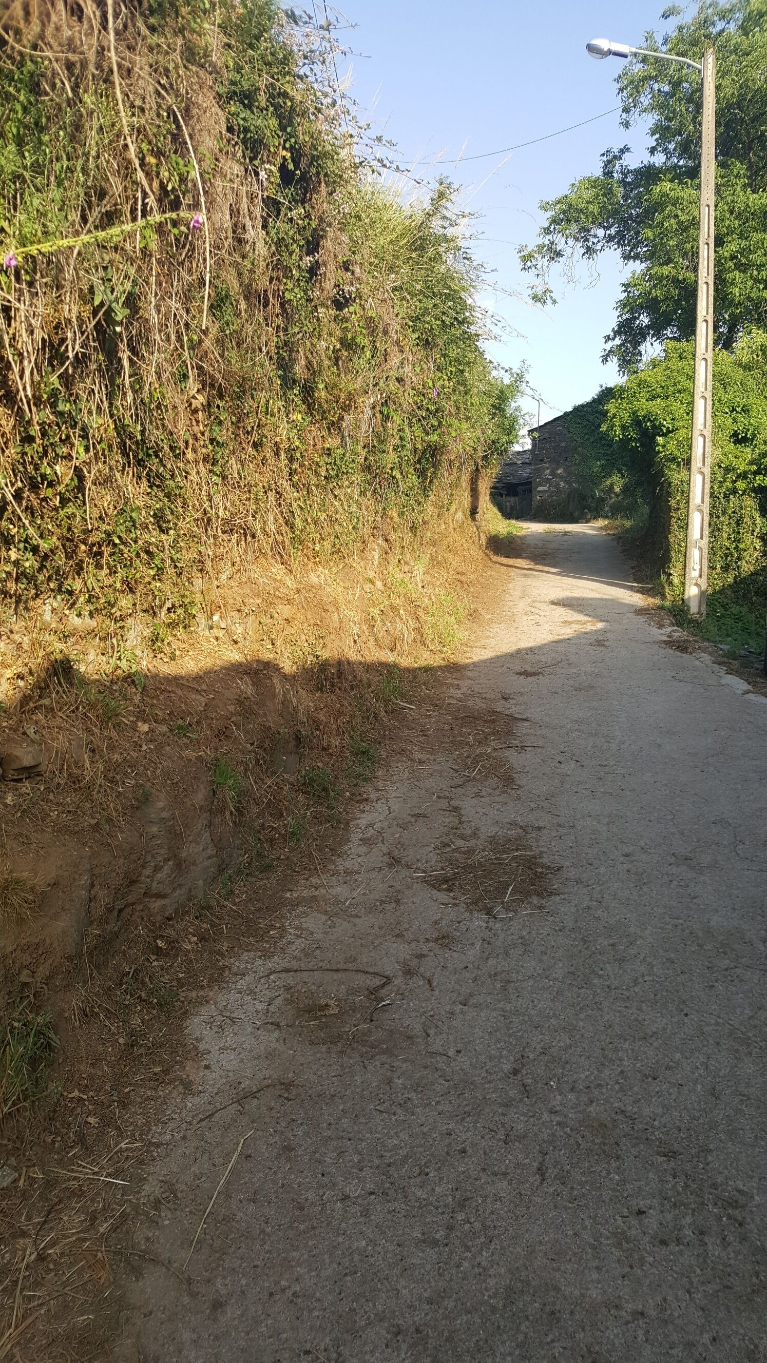 Un camino rural con un sendero de tierra a la izquierda y una carretera pavimentada a la derecha, rodeado de vegetación y un poste de electricidad.