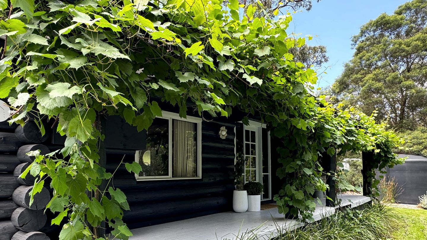 Une cabane en rondins dotée d’un porche couvert, de grandes fenêtres et d’une plante en pot sur la terrasse.