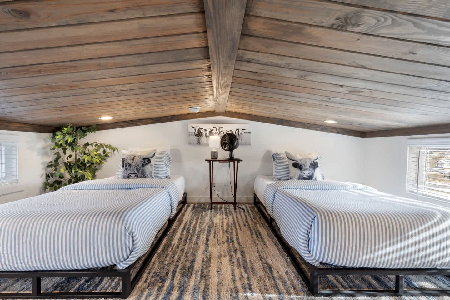 A room with two beds, a ceiling fan, a small table, and a plant.