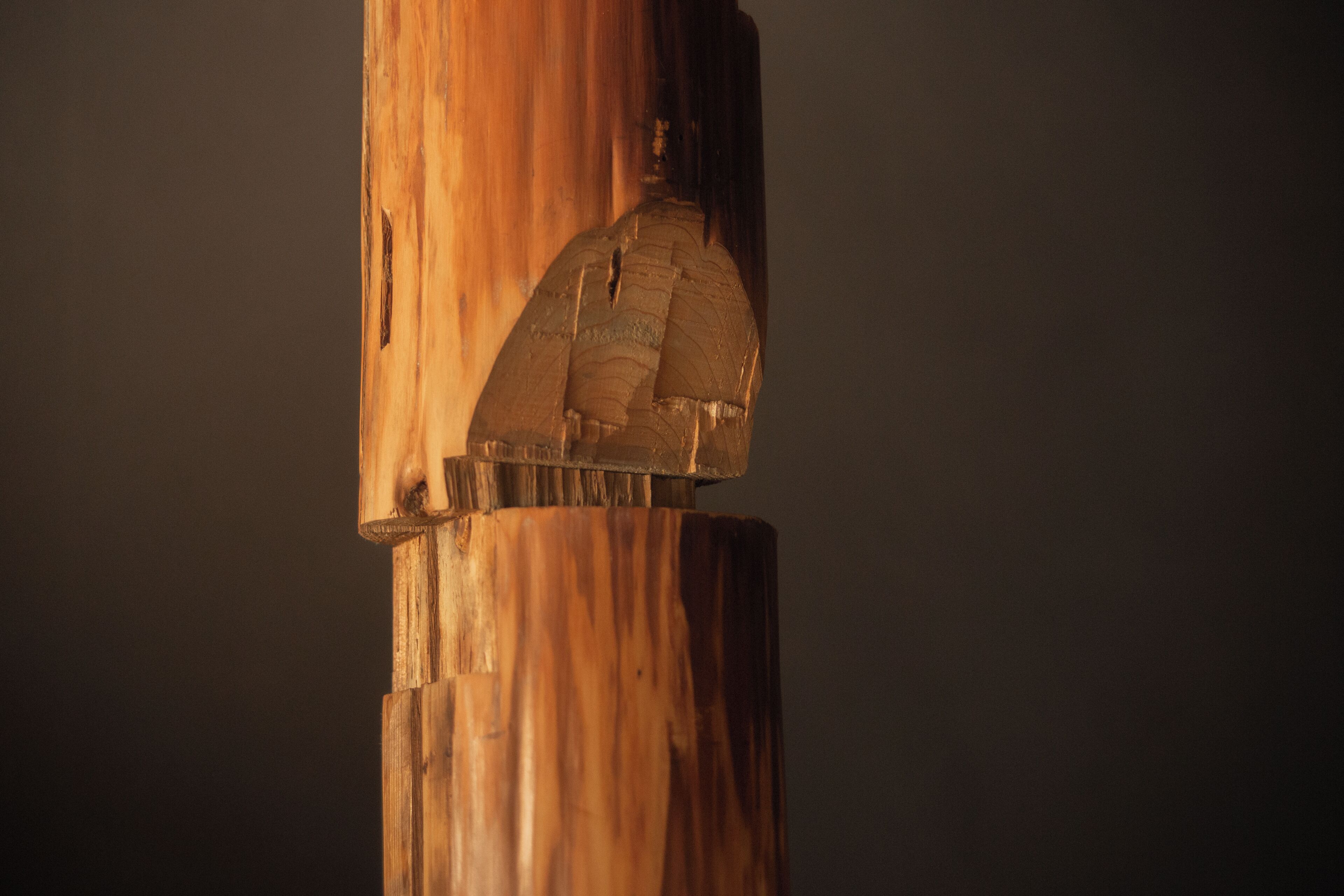 Een detailopname van een houten constructie met een uitgesneden inkeping.