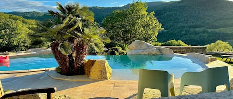 Piscina com vista para montanhas, rodeada por palmeiras e pedras.
