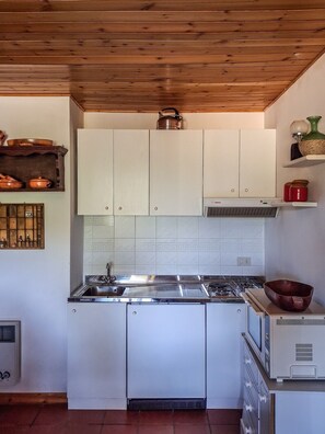 Fridge, oven, stovetop, cookware/dishes/utensils