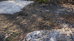 Boligen er et telt med veranda, trapper og udendørs siddepladser.