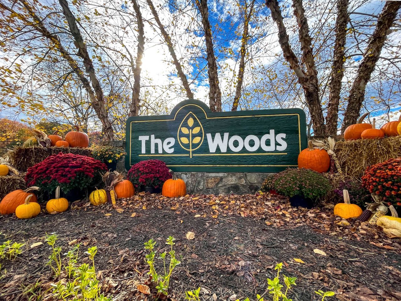 Schild für 'The Woods' mit verschiedenen Kürbissen und Laubwerk darumherum.
