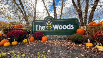 Schild für 'The Woods' mit verschiedenen Kürbissen und Laubwerk darumherum.