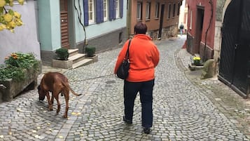 Unterkunftsgelände
