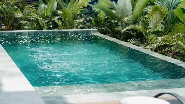 Et rektangulært pool med krystalklart vand, omgivet af frodigt grønt.