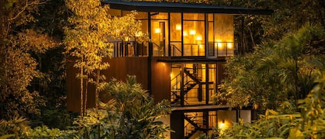 A modern, multi-level wooden structure surrounded by dense foliage, with a staircase leading to an upper level.