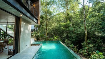 Uma casa moderna com piscina, rodeada por vegetação exuberante.