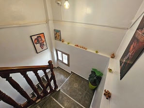 A staircase with a wooden handrail, a potted plant, and a shelf with decorative items.