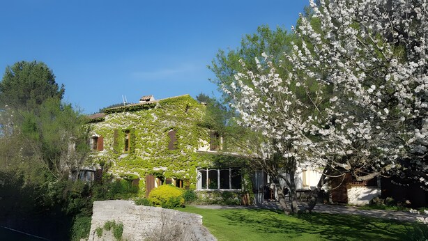 En stenvæg, en bygning med have og et træ med hvide blomster.
