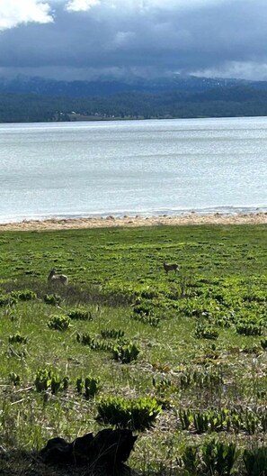 A grassy field with a body of water and mountains in the background. - Peaceful Creekside Cabin with Fire Pit & Scenic Deck in Cascade, Idaho (Cascade)