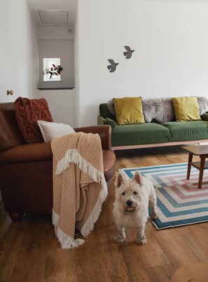 A living room with a brown leather sofa, a green sofa with yellow cushions, a wooden coffee table, and a small white dog.
