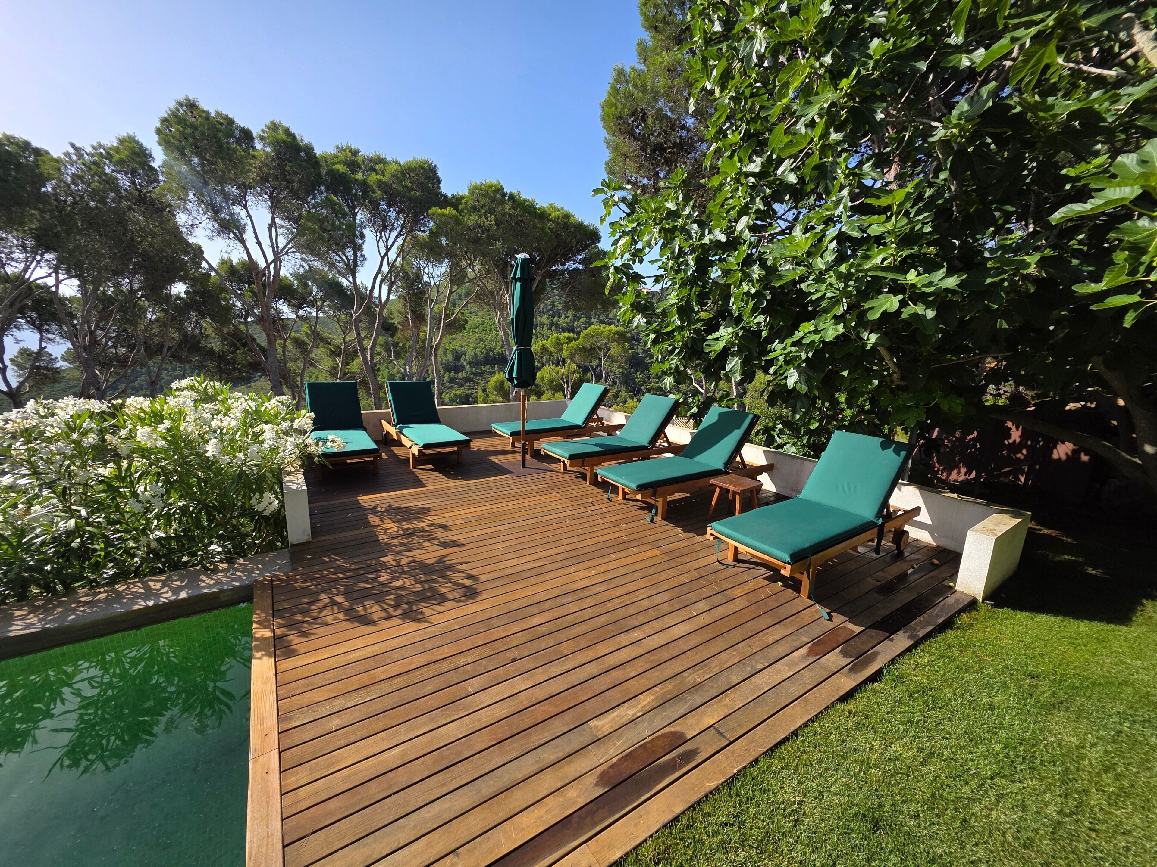 Jardines del alojamiento