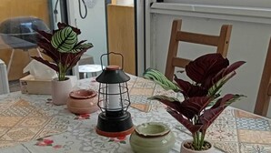 Dining - Apartment for rent in the center of Marseille, near Gart Saint-Charles, a 3-minute walk away (Marseille)