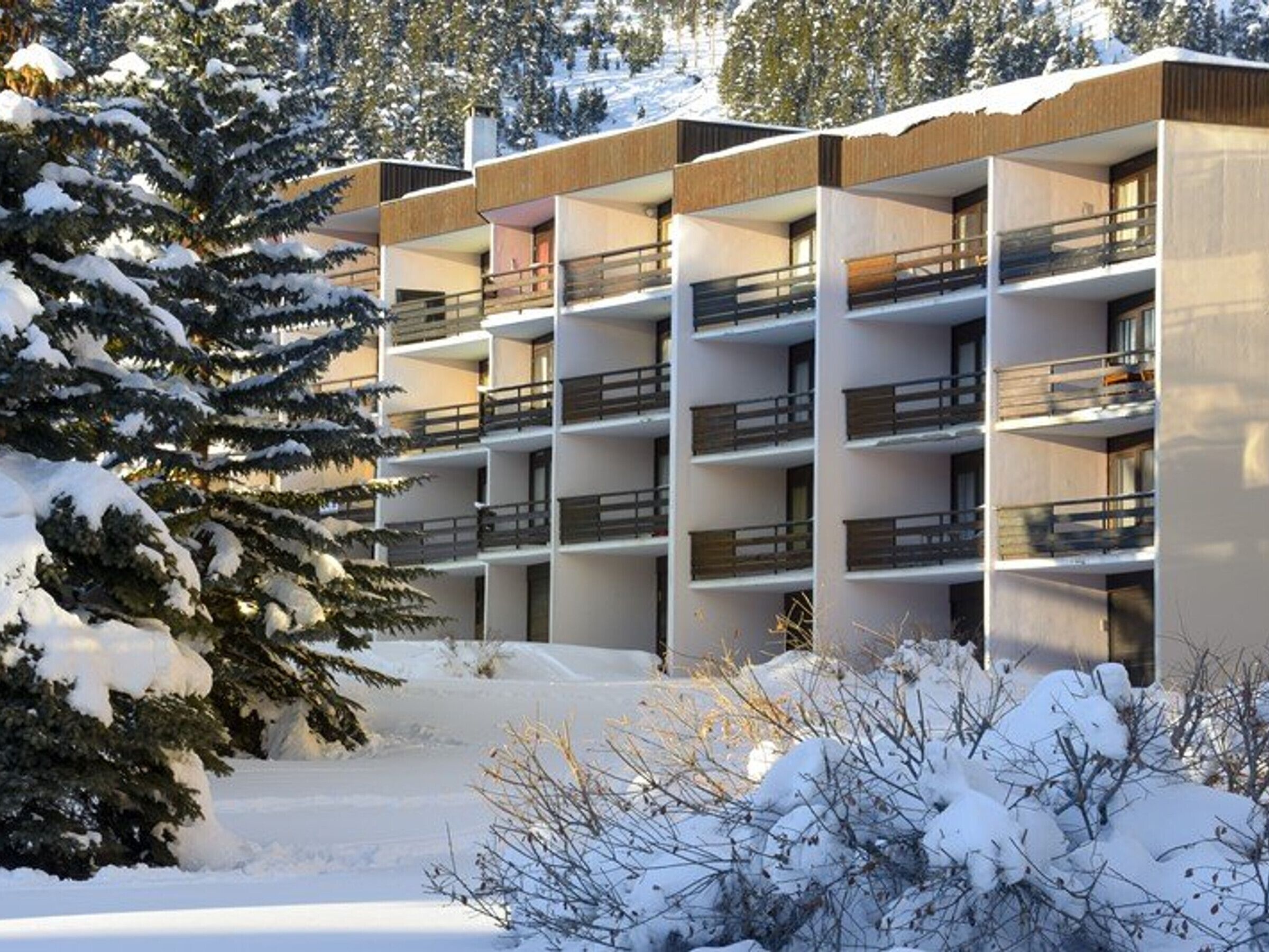 A multi-story building with balconies, surrounded by snow-covered trees and bushes.