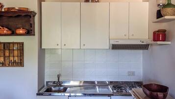 Apartment, Balcony, City View | Private kitchen