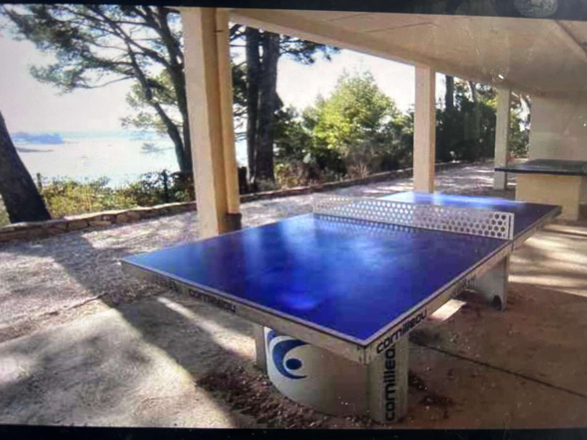 A table tennis table with a blue surface, positioned outdoors under a shelter with a view of trees and a body of water.