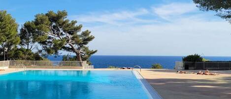 A swimming pool with a view of the sea, surrounded by trees and a clear sky.