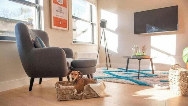 Una sala de estar con un sofá, un perro en una cesta, una mesita con botellas y un televisor en la pared.