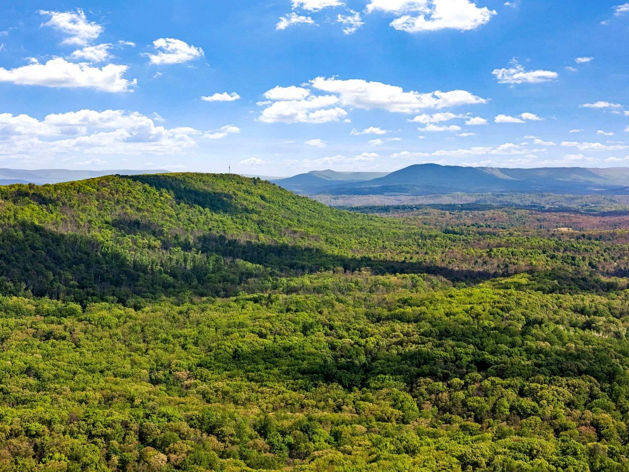 Paisaje boscoso con colinas onduladas y montañas distantes bajo un cielo despejado.