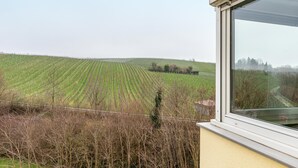 Vista desde una ventana con vistas a un viñedo.