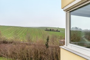 Blick aus einem Fenster auf einen Weinberg.