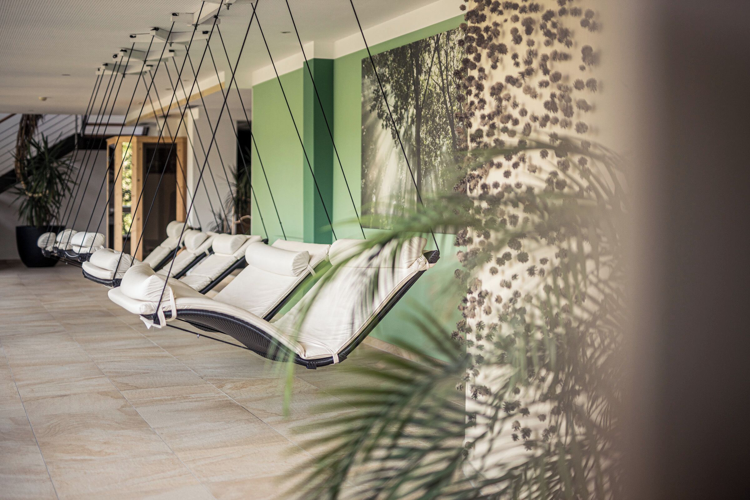 Ein Wellnessbereich mit Liegestühlen, einer grünen Wand und einer großen Pflanze.