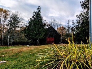 Property grounds - Elegant Luxury Cottage with Fire Pit Near Carrying Place Beach in Surry, Maine (Surry)
