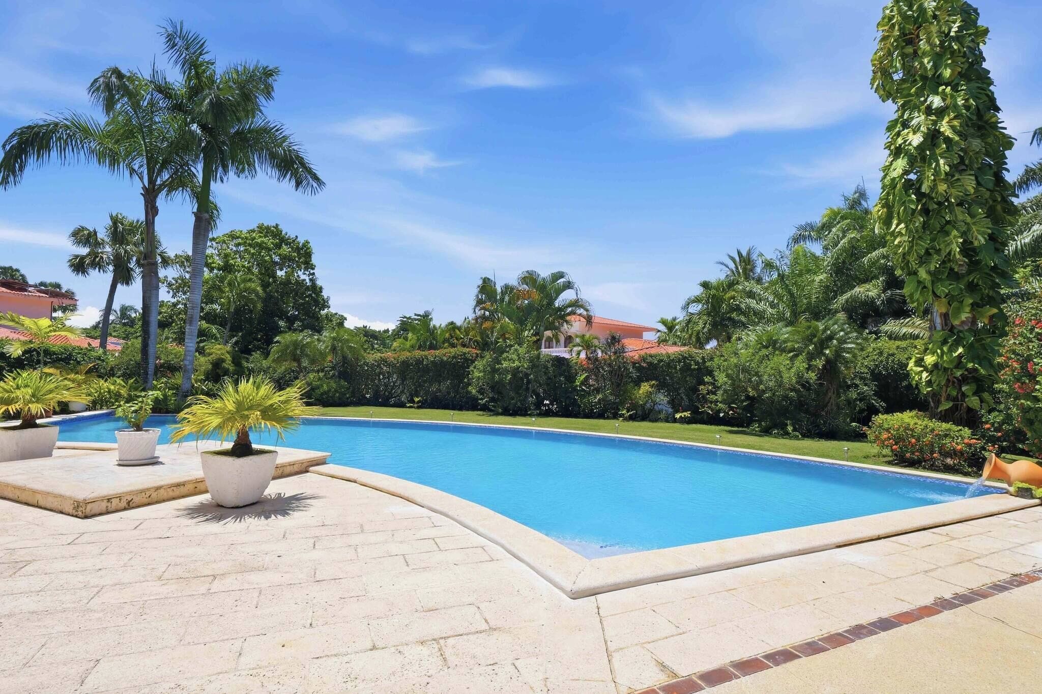 A swimming pool surrounded by potted plants and palm trees.