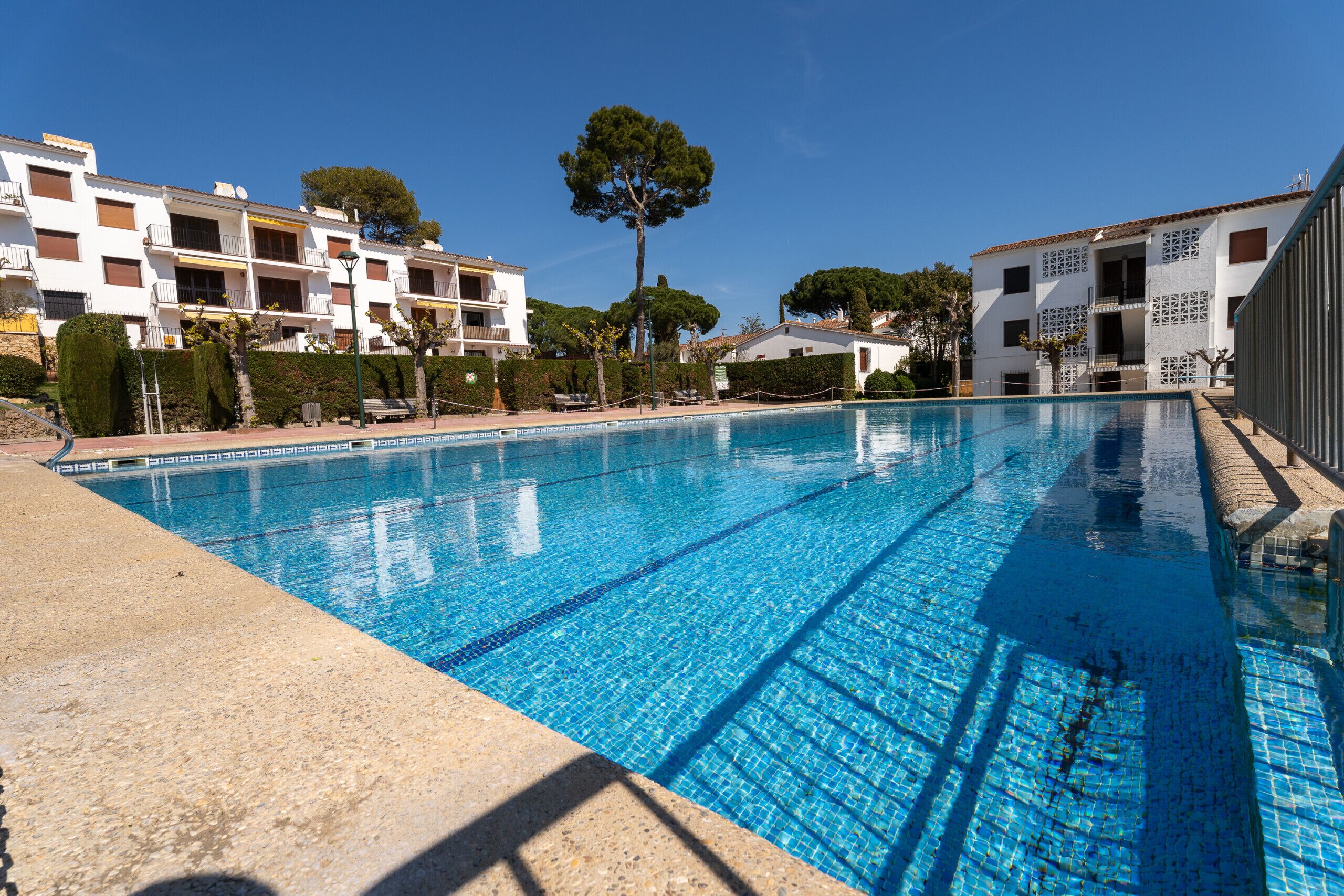 A swimming pool with clear blue water, surrounded by buildings with balconies and a tree in the background.