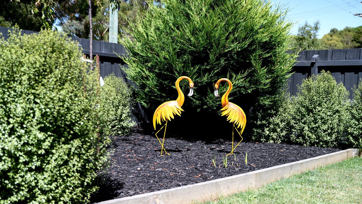 Two yellow flamingos standing in a garden with a wooden fence and green foliage in the background.