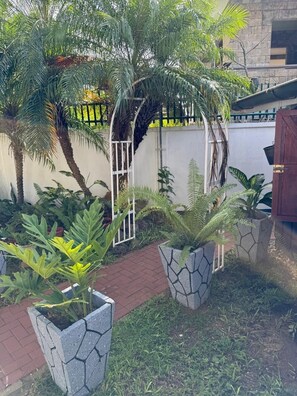 Área da propriedade