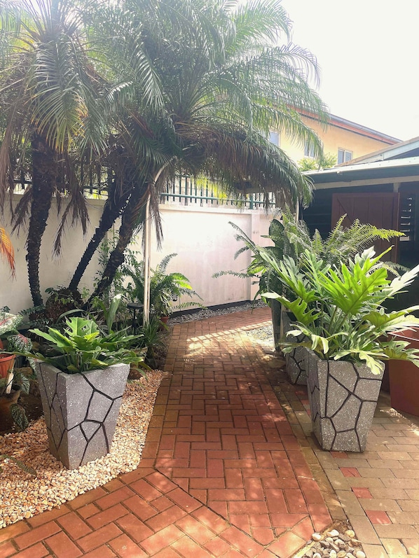 A paved pathway flanked by potted plants and palm trees, leading to a building with a white wall and a red door.