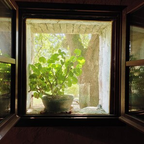 Ein Fenster mit einem Blumentopf, einer strukturierten Wand und Blick auf Bäume draußen.