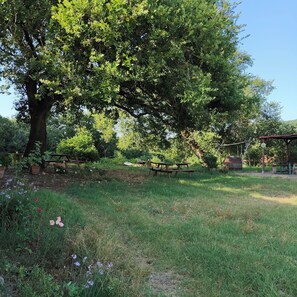 Ein großer Baum in einer Wiese mit Picknicktischen und einer Holzhütte.