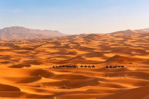 Miscellaneous - Moon Luxury Camp  (Merzouga)