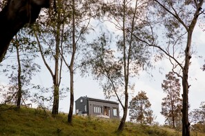 Een modern huis met een plat dak, omgeven door hoge bomen en gazon.