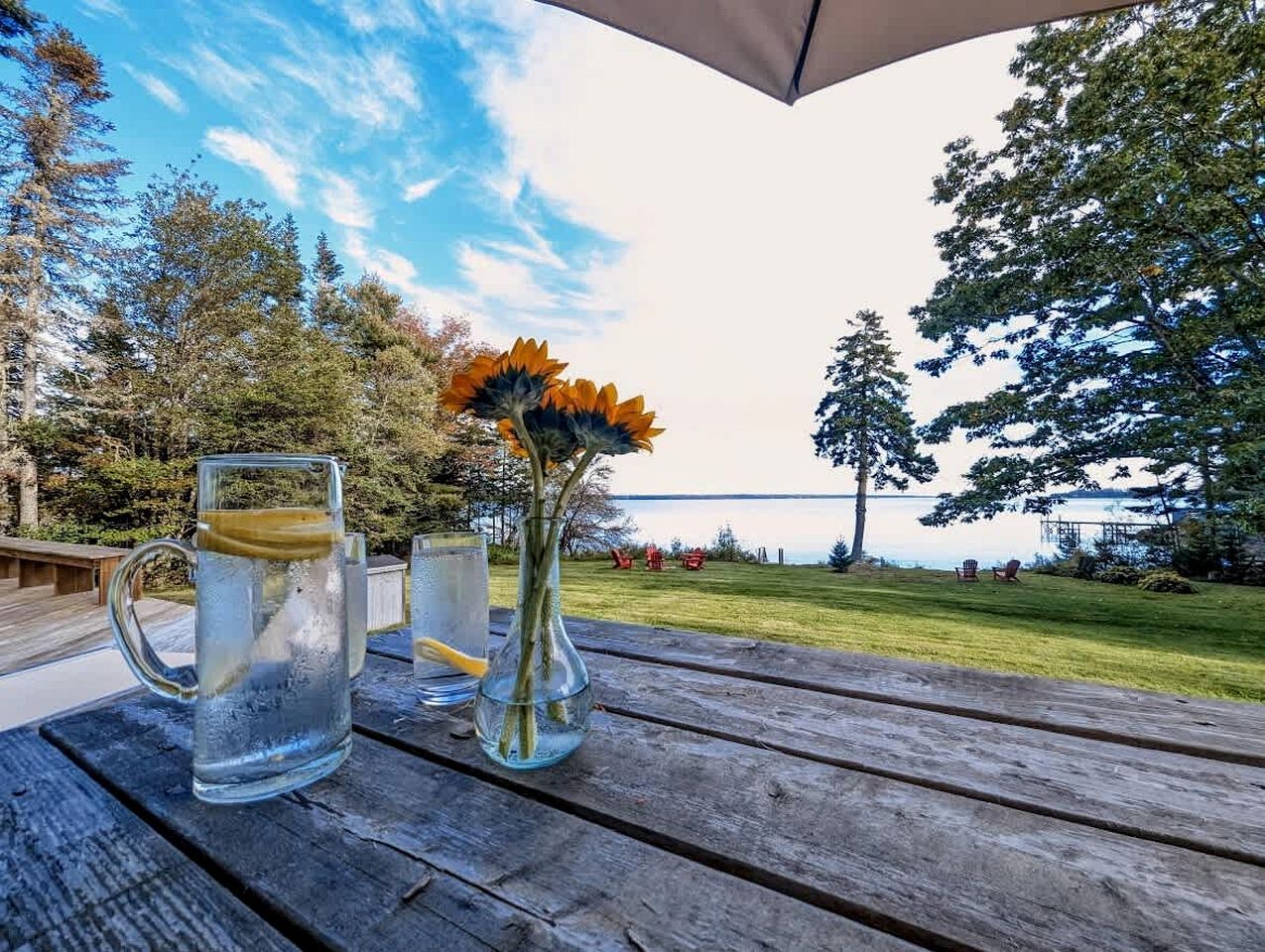 A wooden table with two clear glasses and a vase with flowers, set outdoors with a view of trees and a body of water.