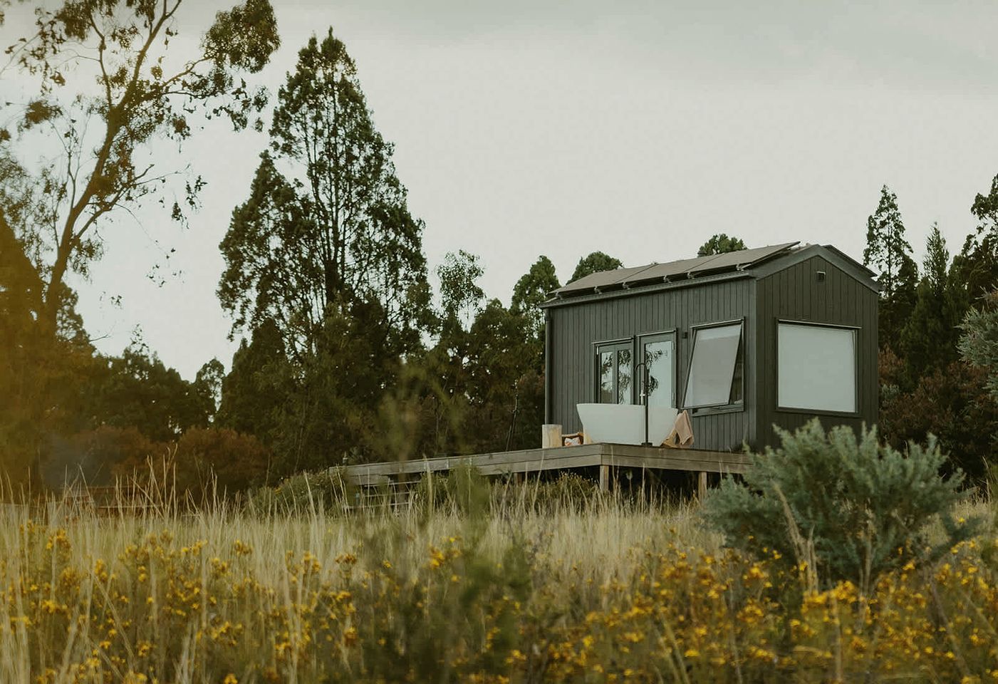 Une cabane dotée d’une terrasse, entourée de grands arbres et de fleurs sauvages.