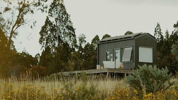 Une cabane dotée d’une terrasse, entourée de grands arbres et de fleurs sauvages.