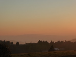 Eine Landschaft mit Feld, Bäumen und fernen Hügeln.