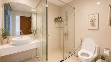 Hair dryer, bidet, towels, soap