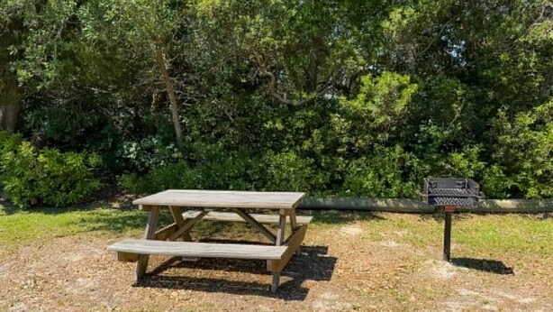 Een picknicktafel in een park, met weelderige begroeiing op de achtergrond.