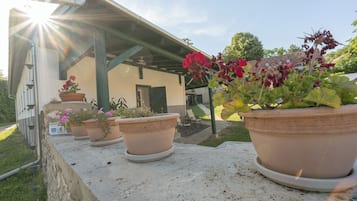 Une terrasse agrémentée de plantes en pot, avec un bâtiment en arrière-plan.