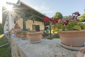 A patio with potted plants and a building in the background.