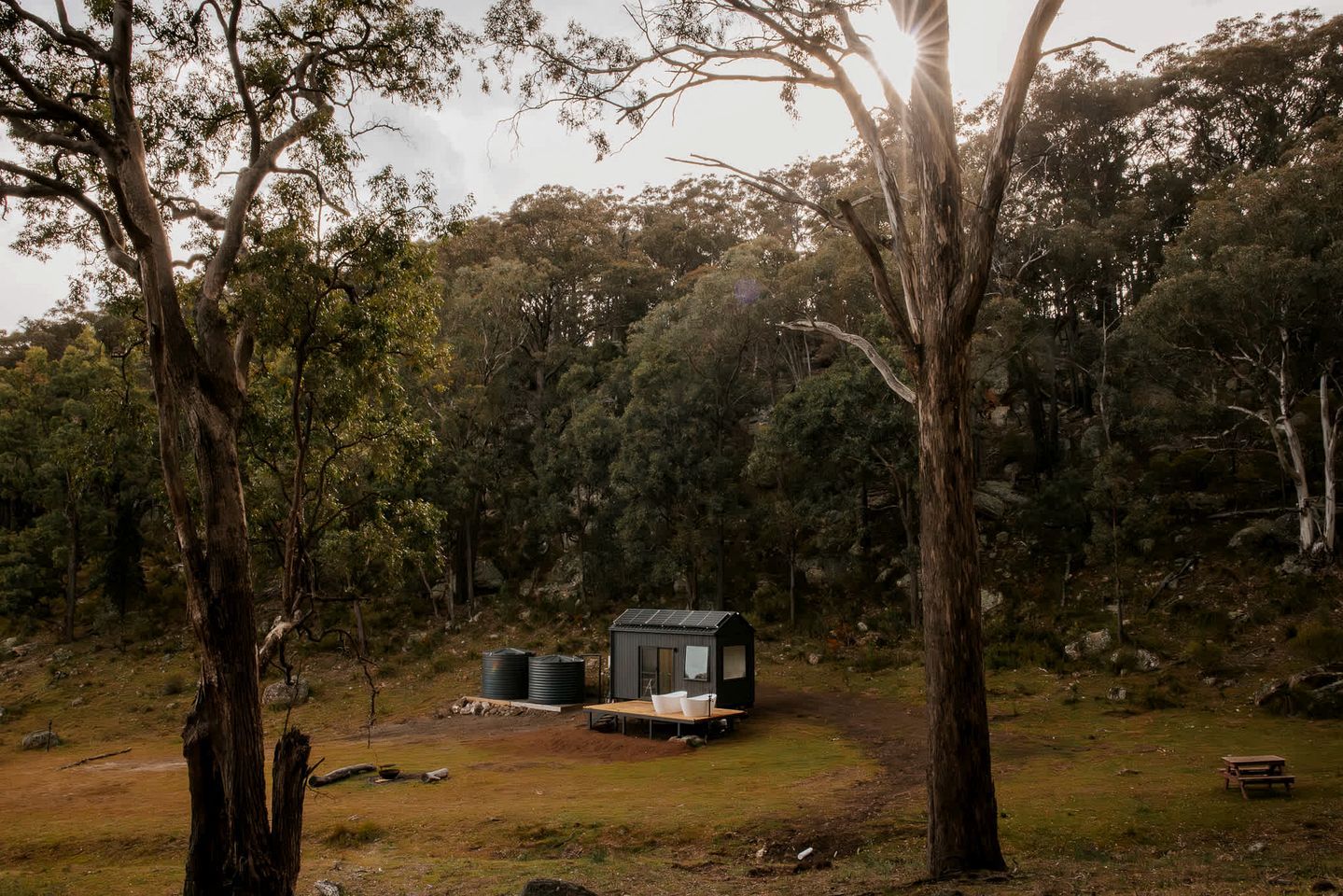 A remote cabin with a solar panel, surrounded by dense forest.