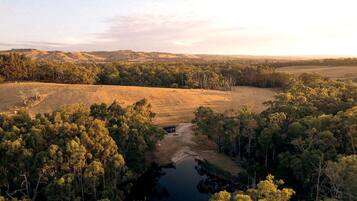 Un paisaje natural con río, bosque denso y colinas ondulantes.