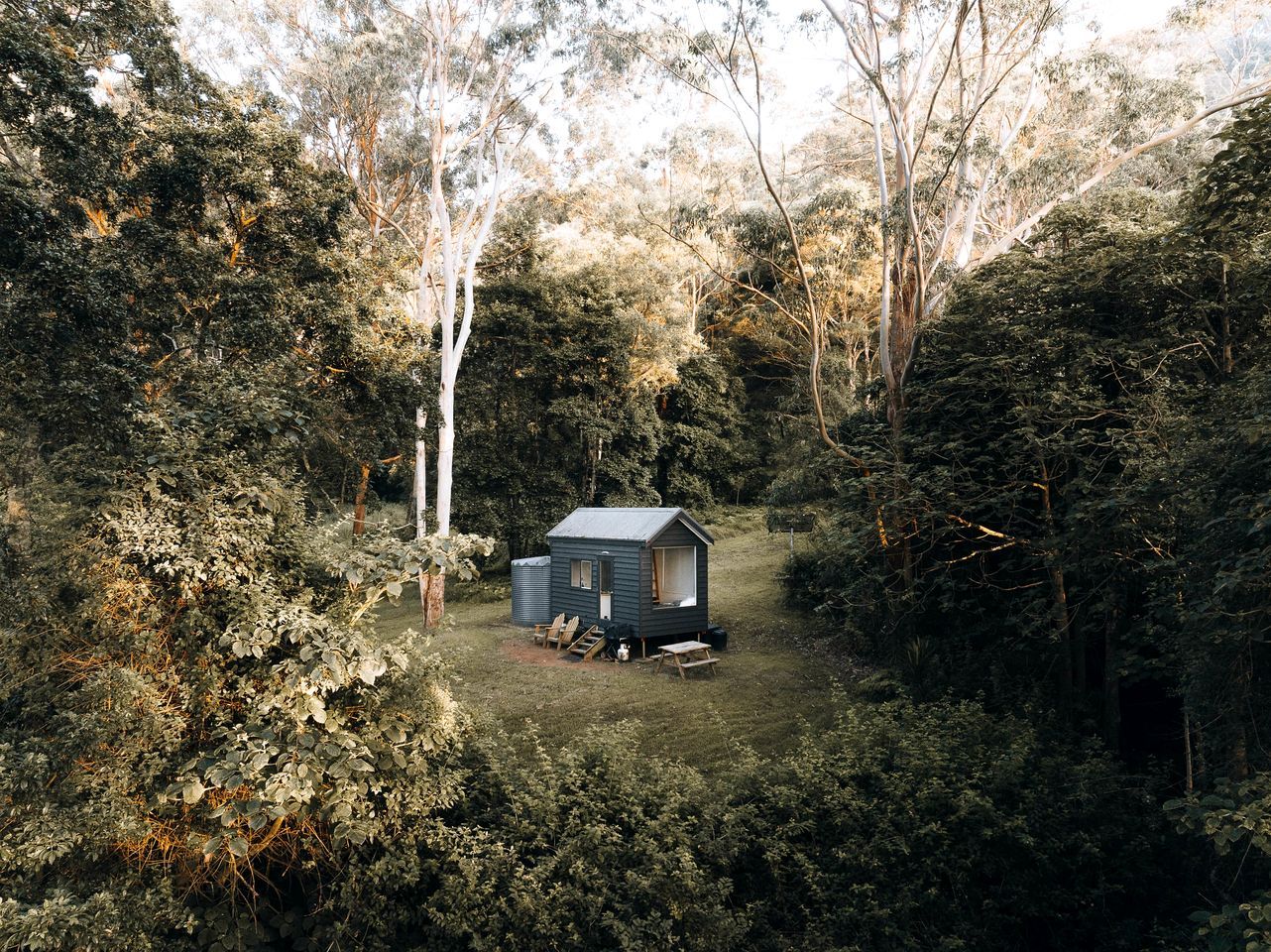 A small cabin in a forested area with a grassy yard and a wooden deck.