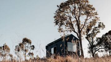 A small, dark-colored building with a large window, surrounded by dry grass and trees.